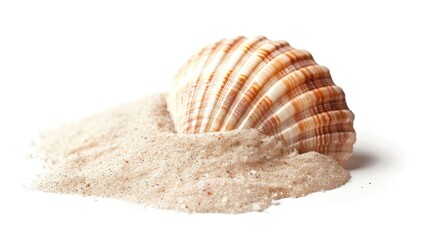 Poster - A single shell sits on top of a pile of sand on a white surface