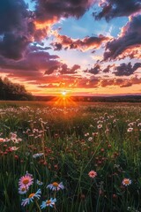 Canvas Print - A beautiful and peaceful scene with a field of colorful flowers beneath a cloudy sky