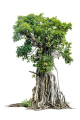 Aufkleber - A miniature tree on a plain white surface