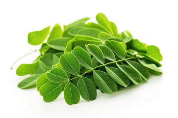 Aufkleber - A collection of green leaves placed on a clean white surface