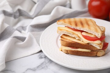 Canvas Print - Pieces of toasted bread with melted cheese and tomato on light marble table, closeup. Space for text