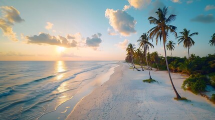 Aerial view of green palm trees on the empty sandy beach of Indian Ocean at sunset Summer in Kendwa Zanzibar island Tropical landscape with palms white sand blue sea sky with clouds To : Generative AI