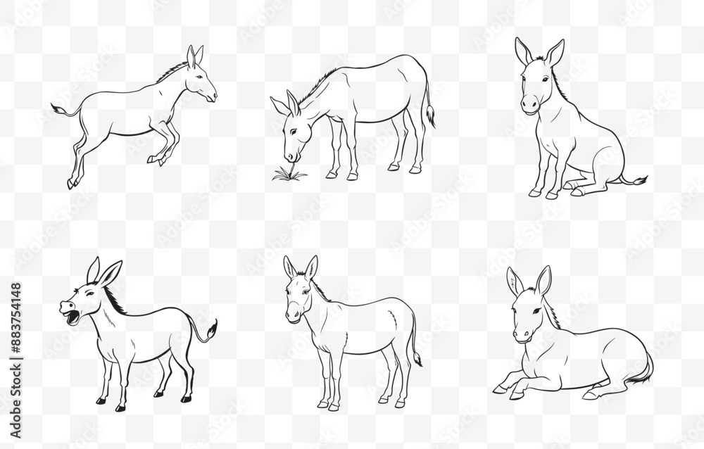 Mule Vector Print Comprehensive Mule Line Art Vector Set for Illustrations Graphics ...