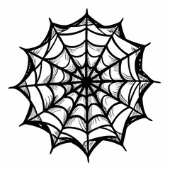 Intricate Hand Drawn Spider Web Illustration on White Background