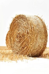 Canvas Print - Bale of Hay in Field