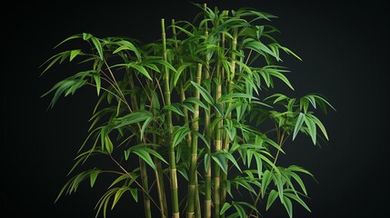 Wall Mural - An bamboo plant with green stalks and leaves, isolated on a black background. Anime foliage, anime background