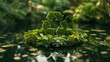 © Sadia - Moss Covered Recycling Symbol Floating in a Forest Pond
