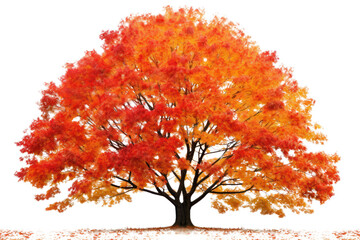 Wall Mural - an autumnal maple tree ablaze with fiery hues of red, orange, and yellow, a breathtaking display of 