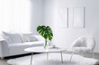 © awindrunner - white interior, white room, white sofa,  soft chair, white fluffy carpet on the floor, white coffee table with monstera, on the walls white paintings, morning, sun rays from the window