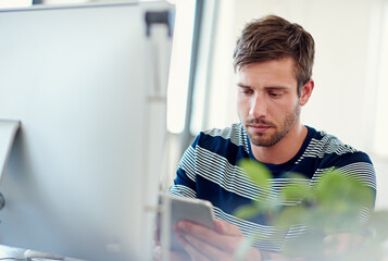 Poster - Computer, tablet and man in office with creative planning, research or software for web developer. Scroll, search and graphic designer on digital app for online project management, agenda or schedule