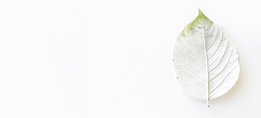 Unique white leaves against white background, symbolizing eco-conscious efforts to combat climate change.