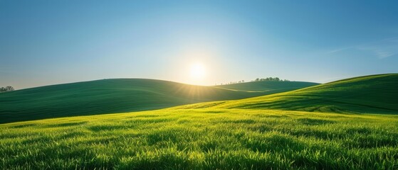 Canvas Print -  A lush field of emerald grass, sunlit; hills dotted with trees, sun casting long shadows beyond