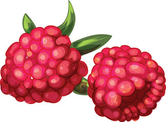 Poster - Two ripe raspberries with green leaves, isolated on a white background