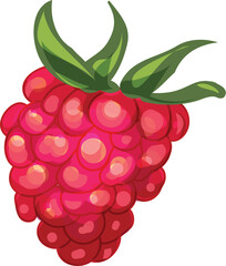 Poster - Ripe raspberry with green leaves growing on a white background