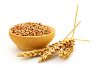 Sticker - Wheat grains in wooden bowl and ears