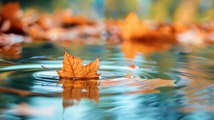 Poster - Autumn Leaf in Water