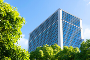 Green tree and office building.