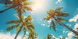 © Nice Seven - Tropical Paradise: Palm Trees Against a Sunny Sky