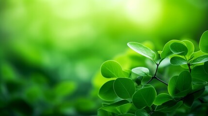 Poster - Bright green leaves in soft focus, ideal for springtime nature wallpapers
