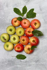 Canvas Print - Beautiful green and red apples top view photo. Juicy organic fruit on light grey textured background with space for text. Healthy eating concept. 