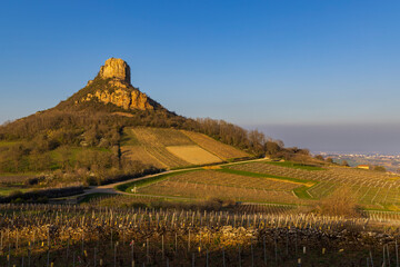 Canvas Print - Rock of Solutre with vineyards, Burgundy, Solutre-Pouilly, France