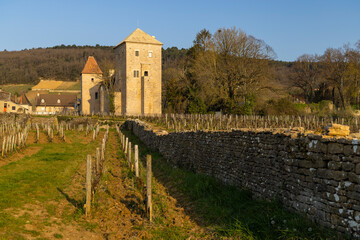 Sticker - Chateau de Gevrey-Chambertin (castle), Burgundy, France