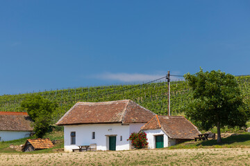 Poster - Traditional wine cellars street in Diepolz near Mailberg, Lower Austria, Austria