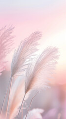 Wall Mural - Pink pampas grass swaying gently against a pastel-colored sky during sunset.