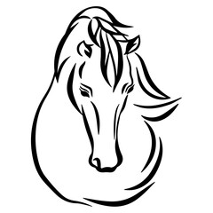 Wall Mural - horse head vector