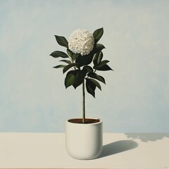 Poster - AI-generated Image of Potted White Hydrangea in Minimalist Setting.