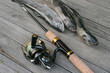 © Denis Kadatsky - spinning rod and caught trout lie on a wooden table