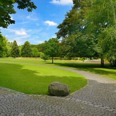 Canvas Print - Summer park with green meadow