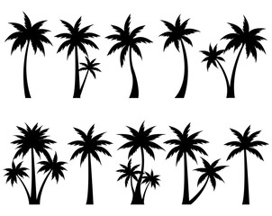 Wall Mural - Big Set Palm Tree Isolated White Background