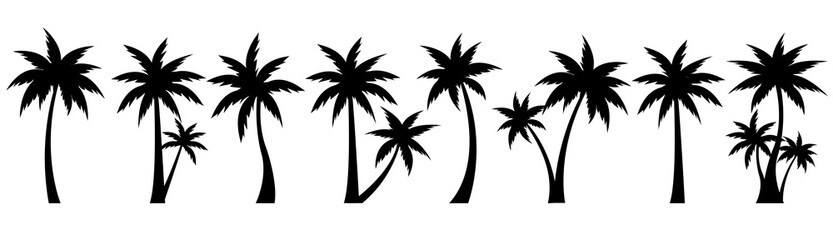 Wall Mural - Palm Tree Big Set Isolated White Background