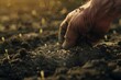 © Oksana - Hand planting seeds in soil. Macro shot of gardening and farming concept.