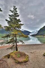 Wall Mural - Juneau, Alaska USA