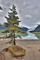 Wall Mural - Juneau, Alaska USA