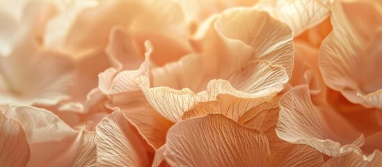 Canvas Print - Delicate Petals in Soft Light