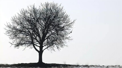 Sticker -  Tree with bird on top of dirt mound