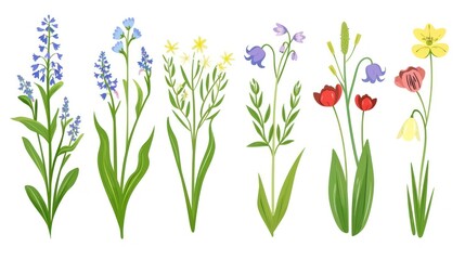 Wall Mural - Colorful Wildflowers