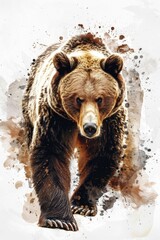 Poster - A large brown bear is seen walking across a snow-covered ground, offering a serene winter scene
