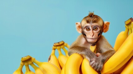 Wall Mural - Cute little monkey rest on a pile of banana fruit