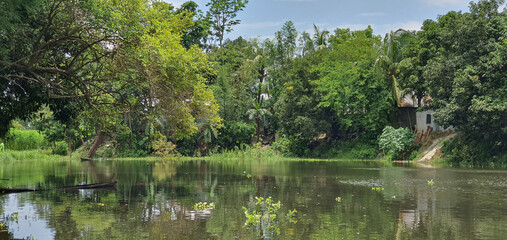 lake with sinking boat and a house in the forest 