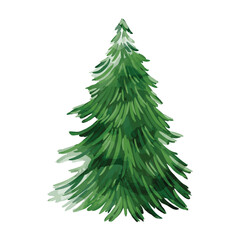 Wall Mural - Green watercolor decorative christmas tree vector illustration.