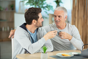 Wall Mural - joyful elderly man talking to his son