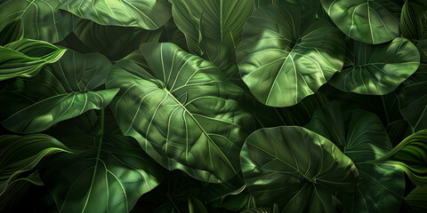 Wall Mural - close up of large green leaves in the jungle, generative AI