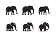 © Nezamur - Set of elephant icon silhouettes. Elephant shadow hand drawn. Flat vector illustration white background.