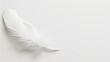 © DigitalDruid - High resolution abstract white feather on white background with copy space