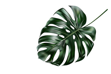Poster - Green Monstera Leaf , Realistic Illustration