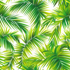 Canvas Print - vector art pattern leaf of coconut